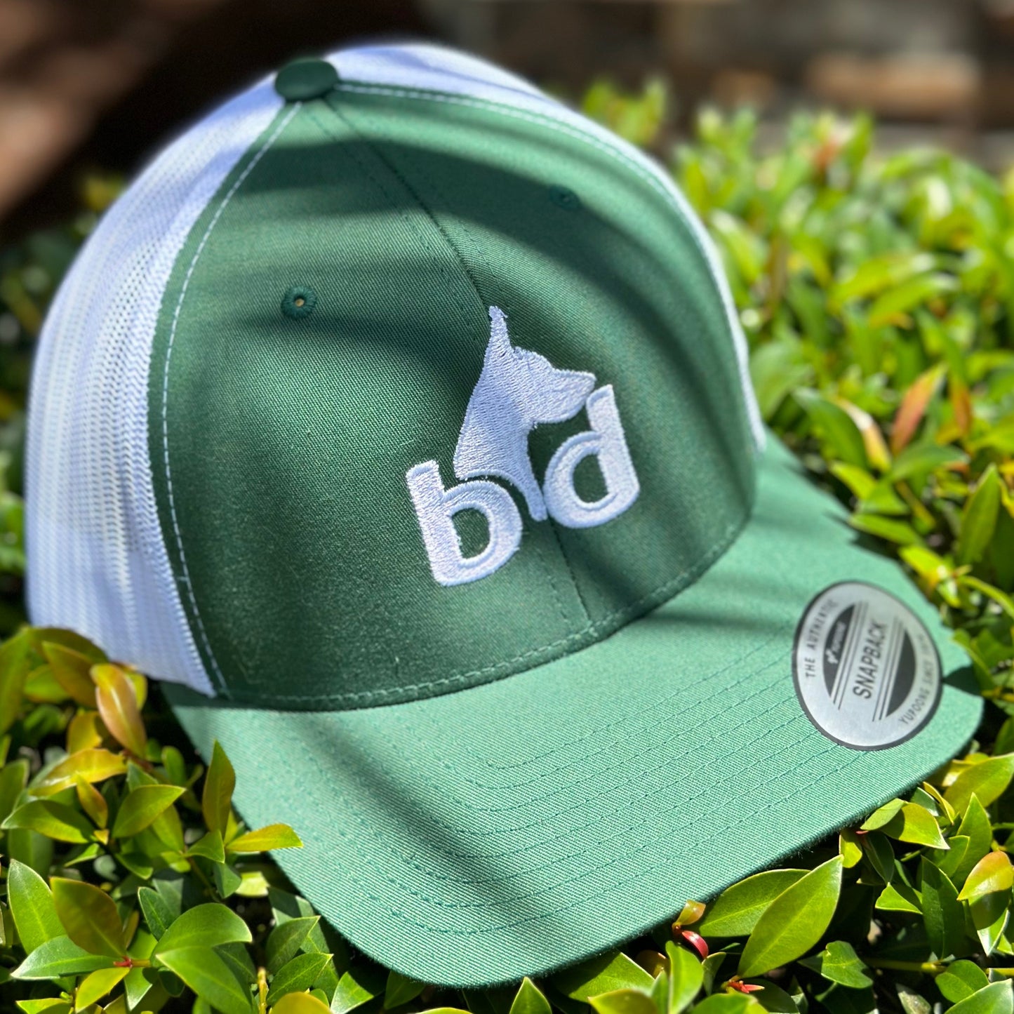 the 'big d'